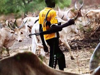NEC bans movement of herdsmen in Benue, Taraba, others