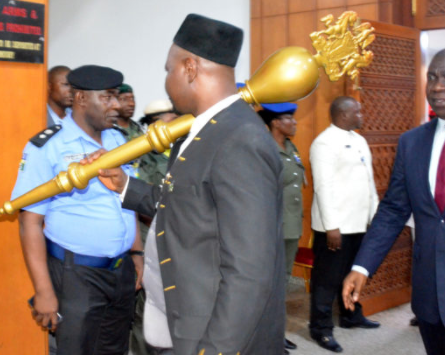 National Assembly tightens security following Mace theft