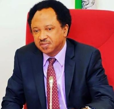 '' President Buhari must apologize to Nigerian Youths for saying they are all lazy'' Shehu Sani