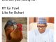 WTF? Nigerians on twitter were asked to choose between a chicken and President Buhari. See the result