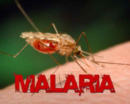 FG announces plan to borrow $300m to eliminate malaria