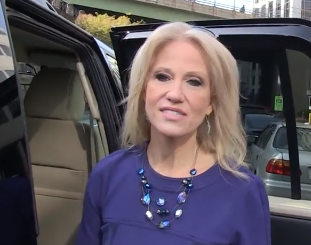 Kellyanne Conway says Melania Trump is "superior" to Michelle Obama as First Lady (video)