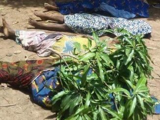 Graphic photos from fresh Fulani herdsmen attack in Benue State