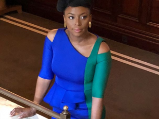Lovely new photos of Chimamanda Ngozi Adichie
