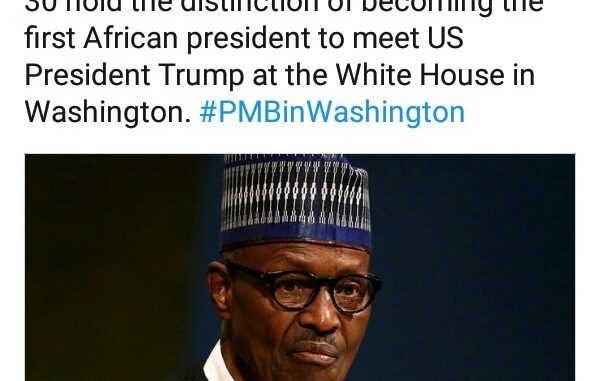 Nigerians bash Presidential media aide for saying Buhari will be the first African president to meet Donald Trump