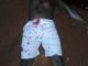 Man kills his son in Anambra over land dispute (photos)