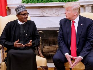Photos from President Buhari's meeting with US President Donald Trump