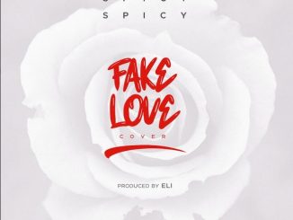 spiccy fake love