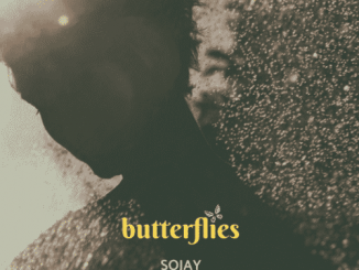SOJAY-Butterflies