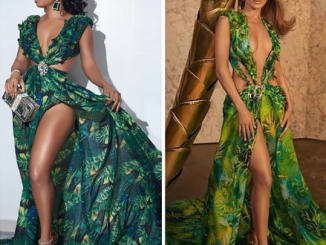Toke Makinwa recreates Jennifer Lopez's iconic Versace outfit......did she nail it? (photos)