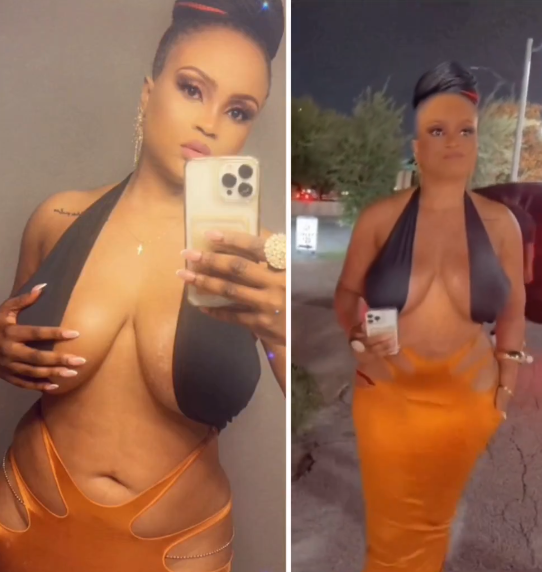 Businesswoman, Maureen Esisi causes a stir online with her risque attire (video)
