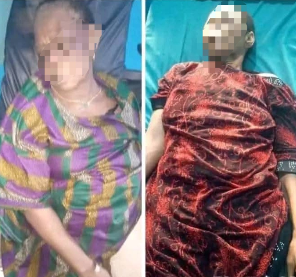 I’m using my t0t0 to make money, use yours to make money too - P0rn star Daisy Melanin warns women in her DM begging her for help